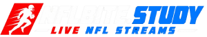 NFLBite logo